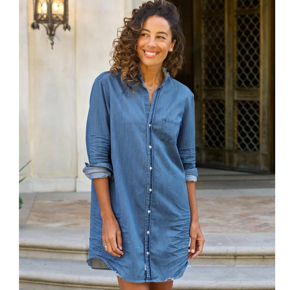 Frank & Eileen Mary Denim Chambray Shirt Dress Oversized Womens XXS MSRP $328